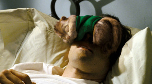 «Alvin and the Chipmunks»