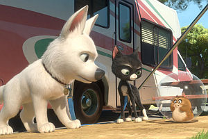 «Bolt»