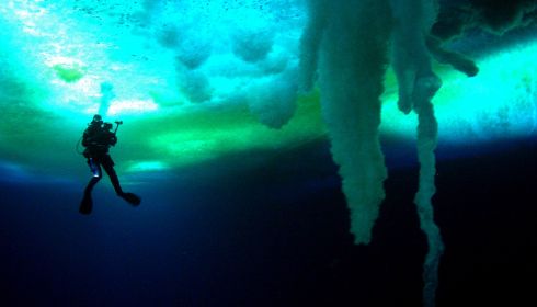 «Encounters at the End of the World»