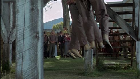 Filmstöckchen 1393