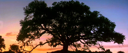 Hanna R. Hall und Michael Conner Humphreys in «Forrest Gump»