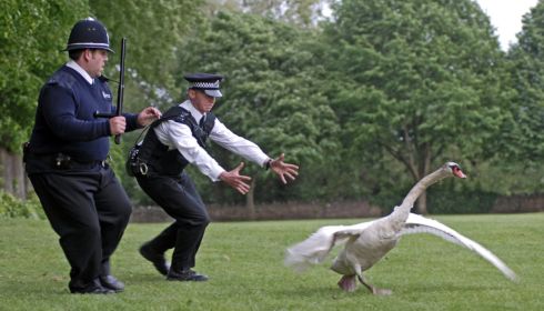 Nick Frost und Simon Pegg in «Hot Fuzz»