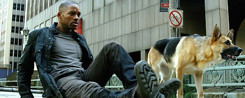 Will Smith in «I Am Legend»