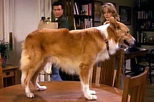 Paul Reiser, Helen Hunt und Maui in «Mad About You»