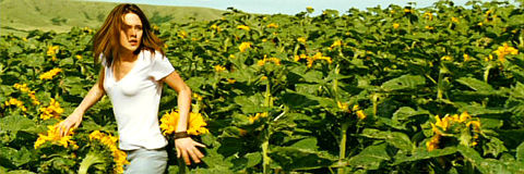 Kristen Stewart in «The Messengers»
