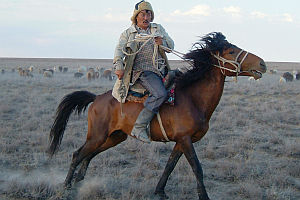 «Tulpan» von Sergei Dwortsevoj